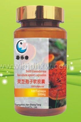 ��֥���ӷ������� 500mg��100��������������Ʒ����