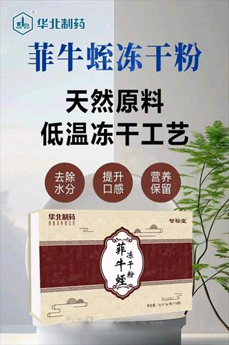 华北制药菲牛蛭冻干粉