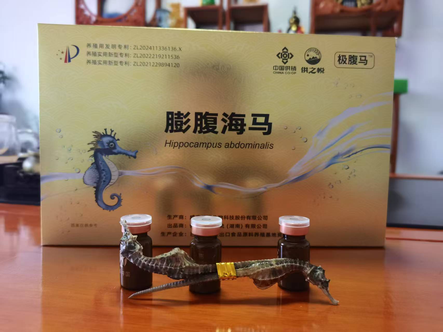 膨腹海马