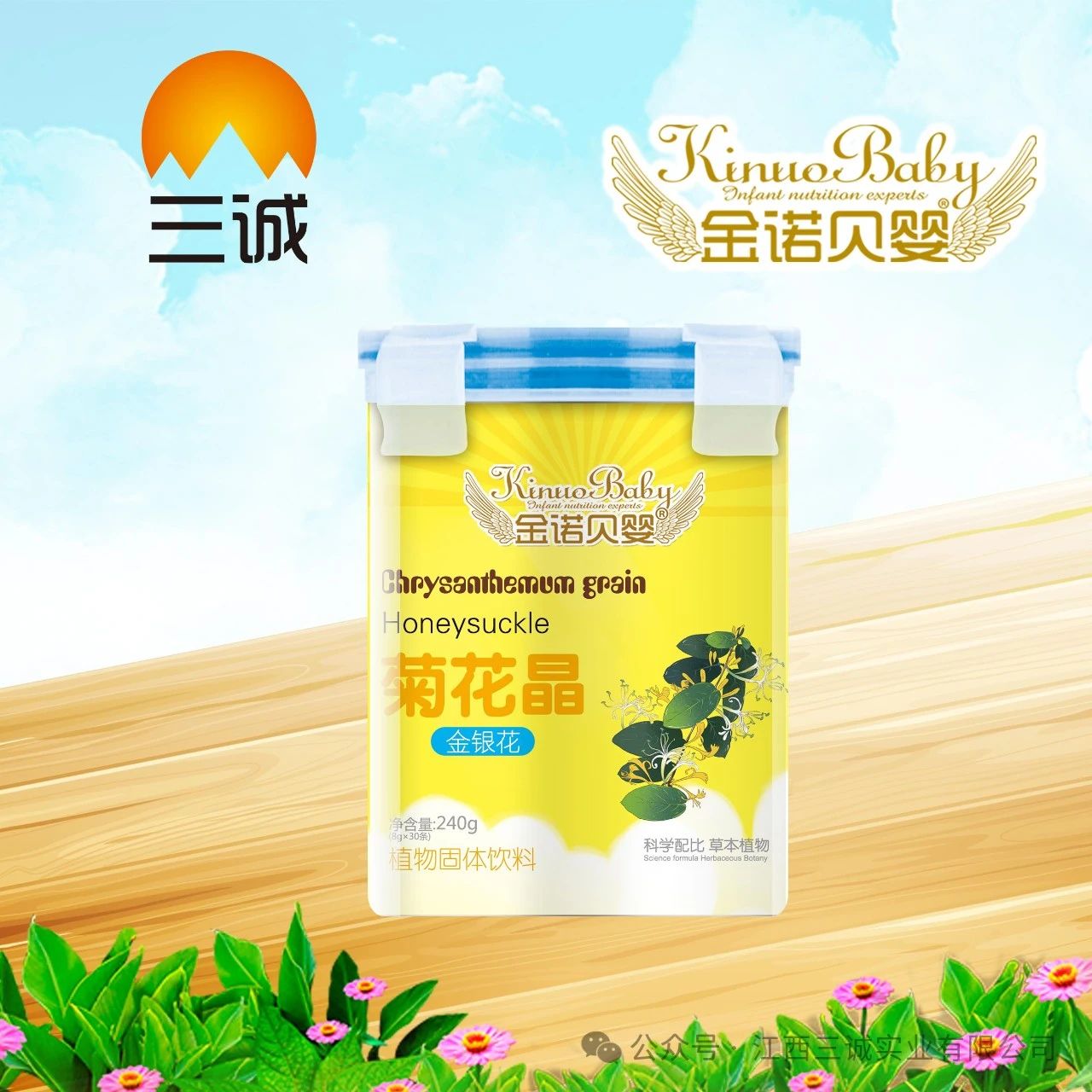 菊花晶 金银花