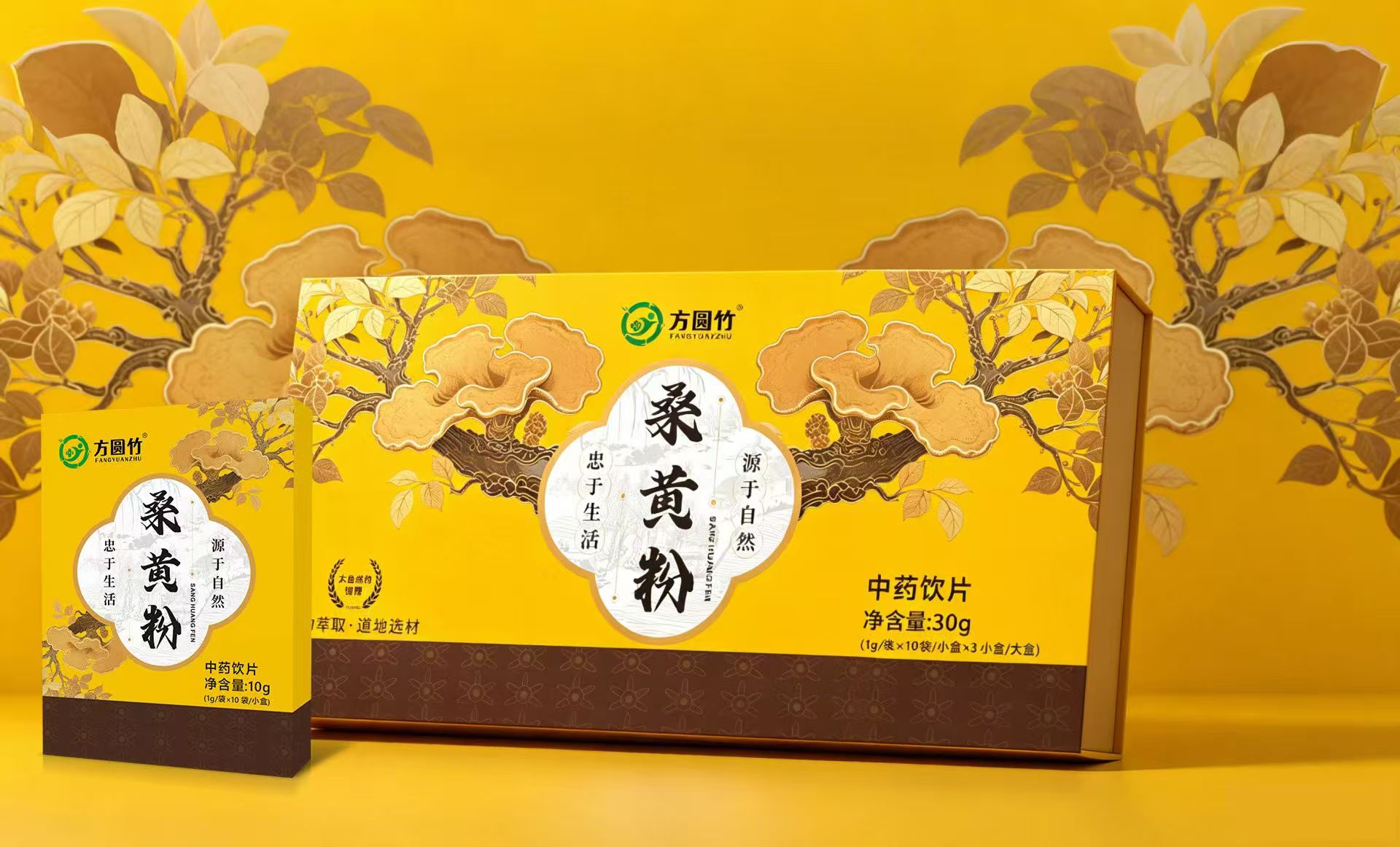 中药饮片-桑黄粉