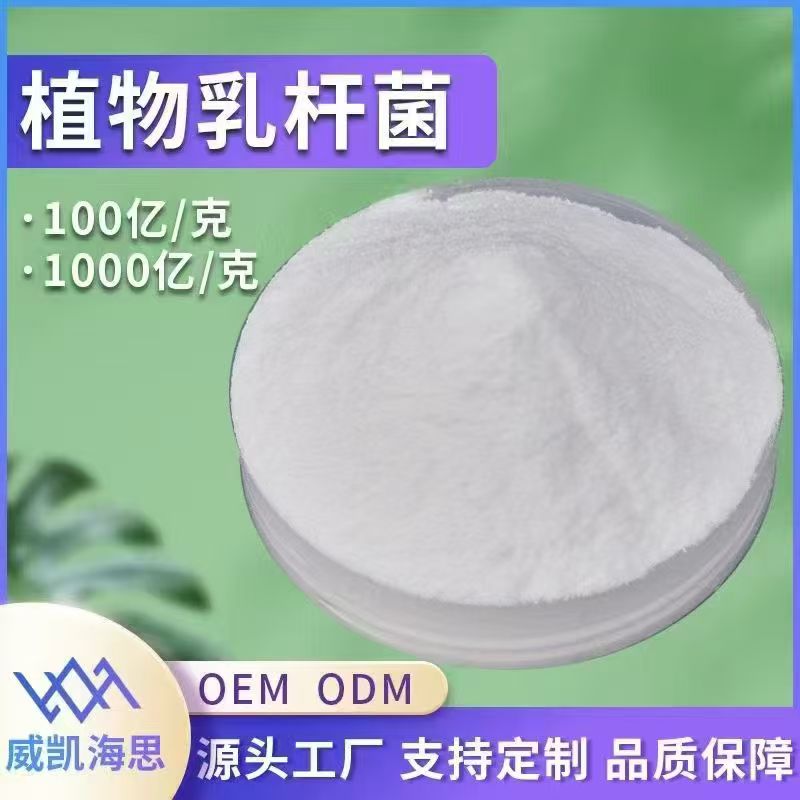 益生菌原料